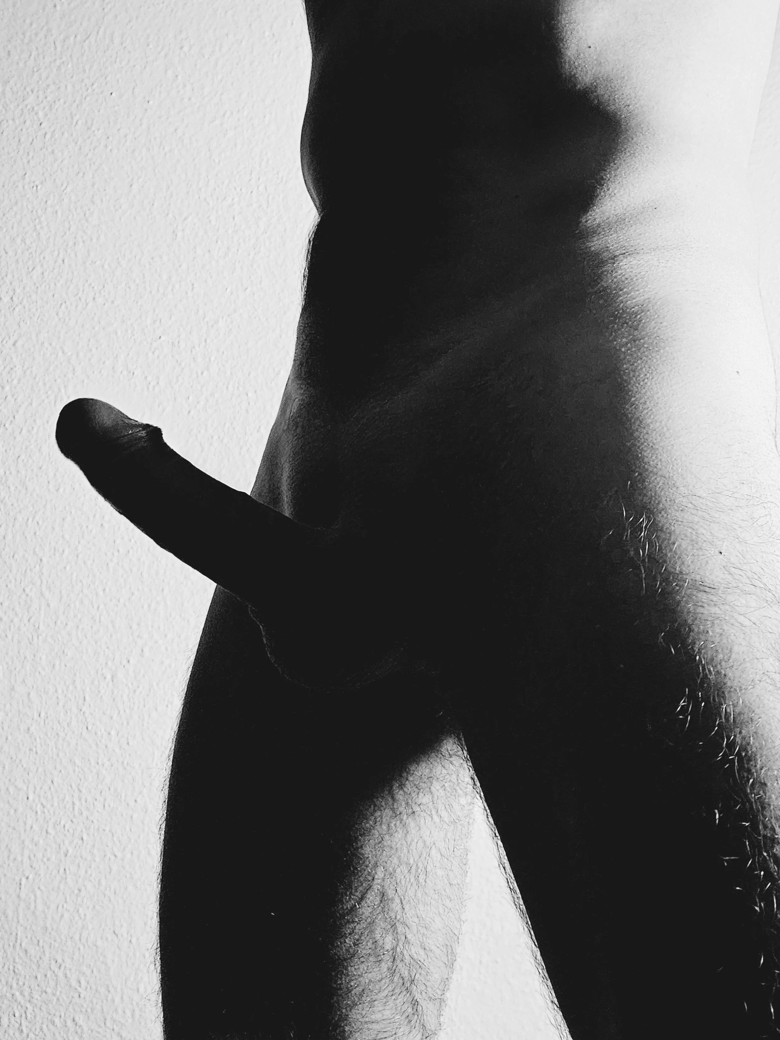 there is something about silhouettes posted by willgrahamthird