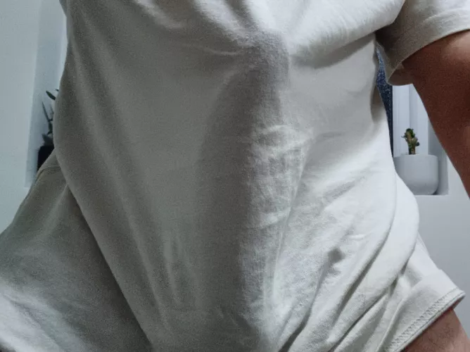 This one is a good outline by EfficientVolume1999