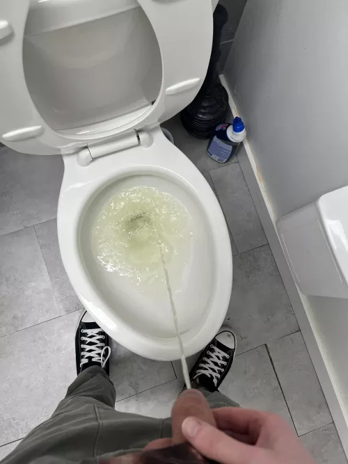 Wanna replace the toilet?! by thedailyunderwear