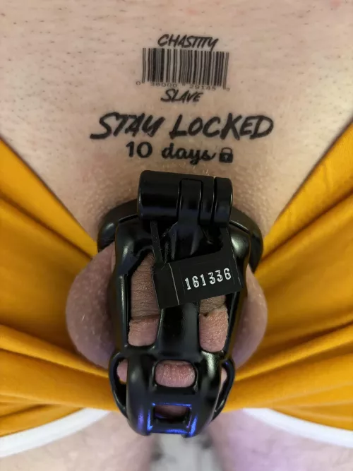 Wife is debating 1-4 week. Suggestions? by foxypandalord