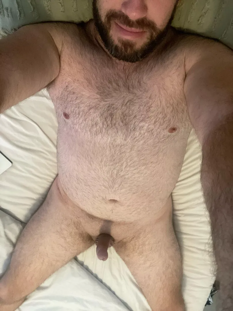 32 Aussie bi bear, edging and horned up. Tell me what you think, DM’s open  posted by biaussieguy91