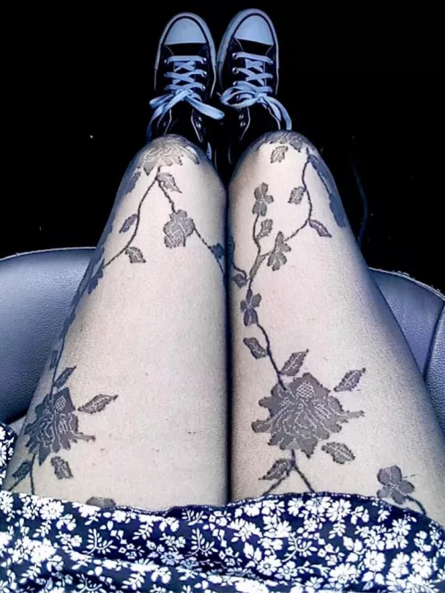 Converse Are The Best Birthday Shoes by Ellie_in_socks