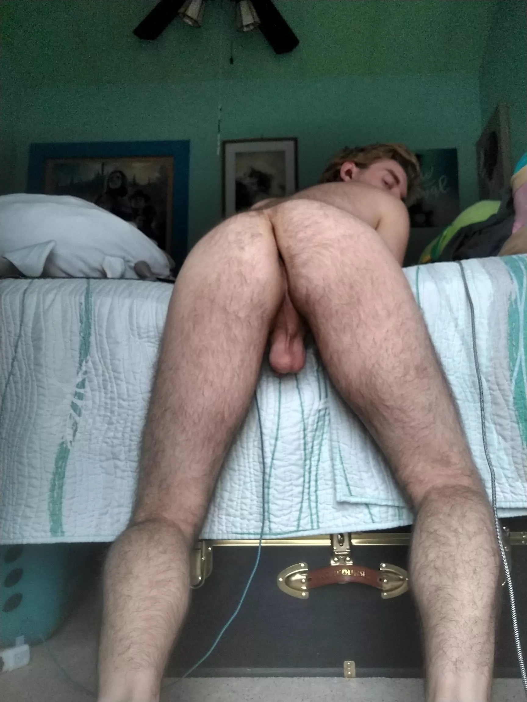 Hairy cheeks for the men posted by InformalLove116