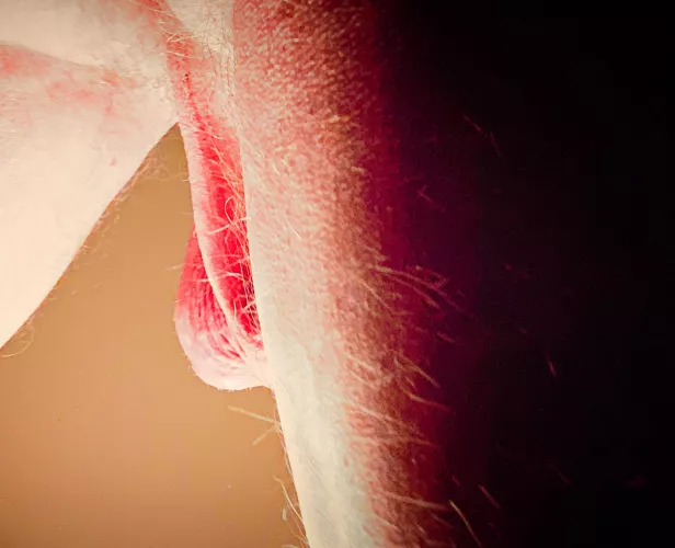 Just a peek by CoarseGrainedMouser