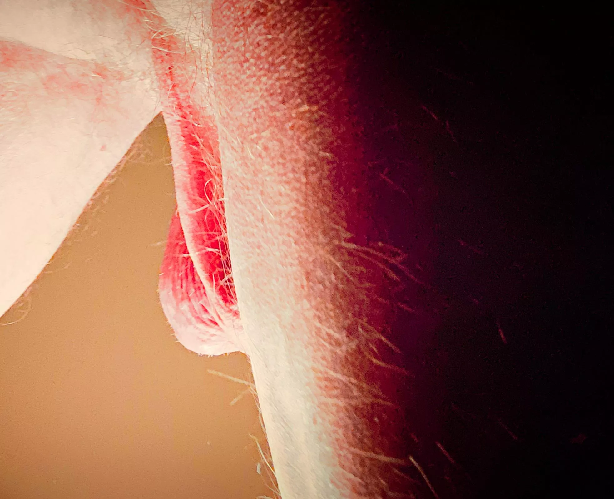 Just a peek posted by CoarseGrainedMouser