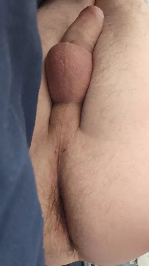 Morning  by penisorass