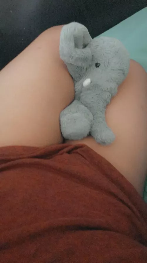 My stuffies shall suffer!!! by Cloverdafem