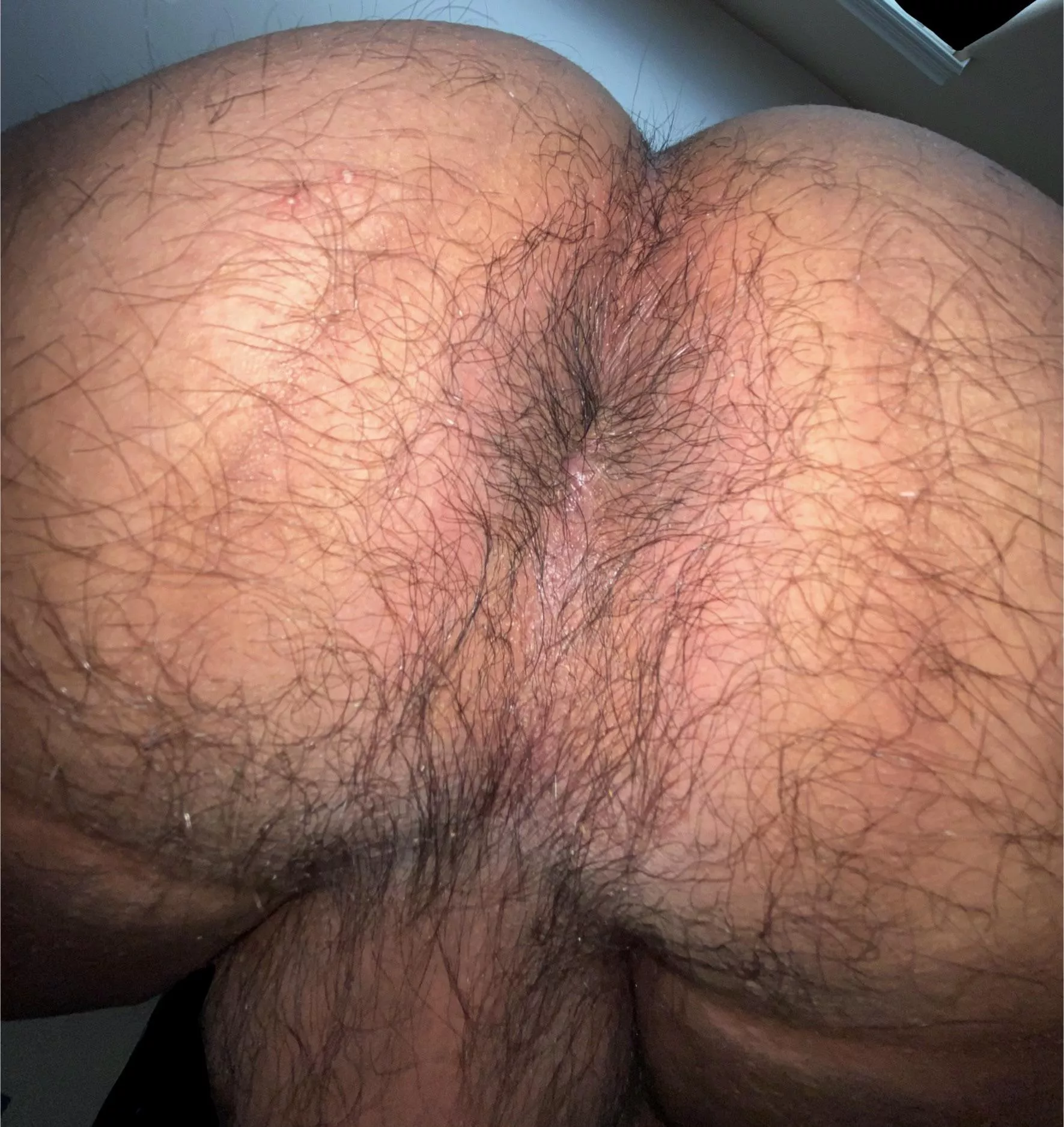 Need a face to sit on posted by Vast-Context-5195