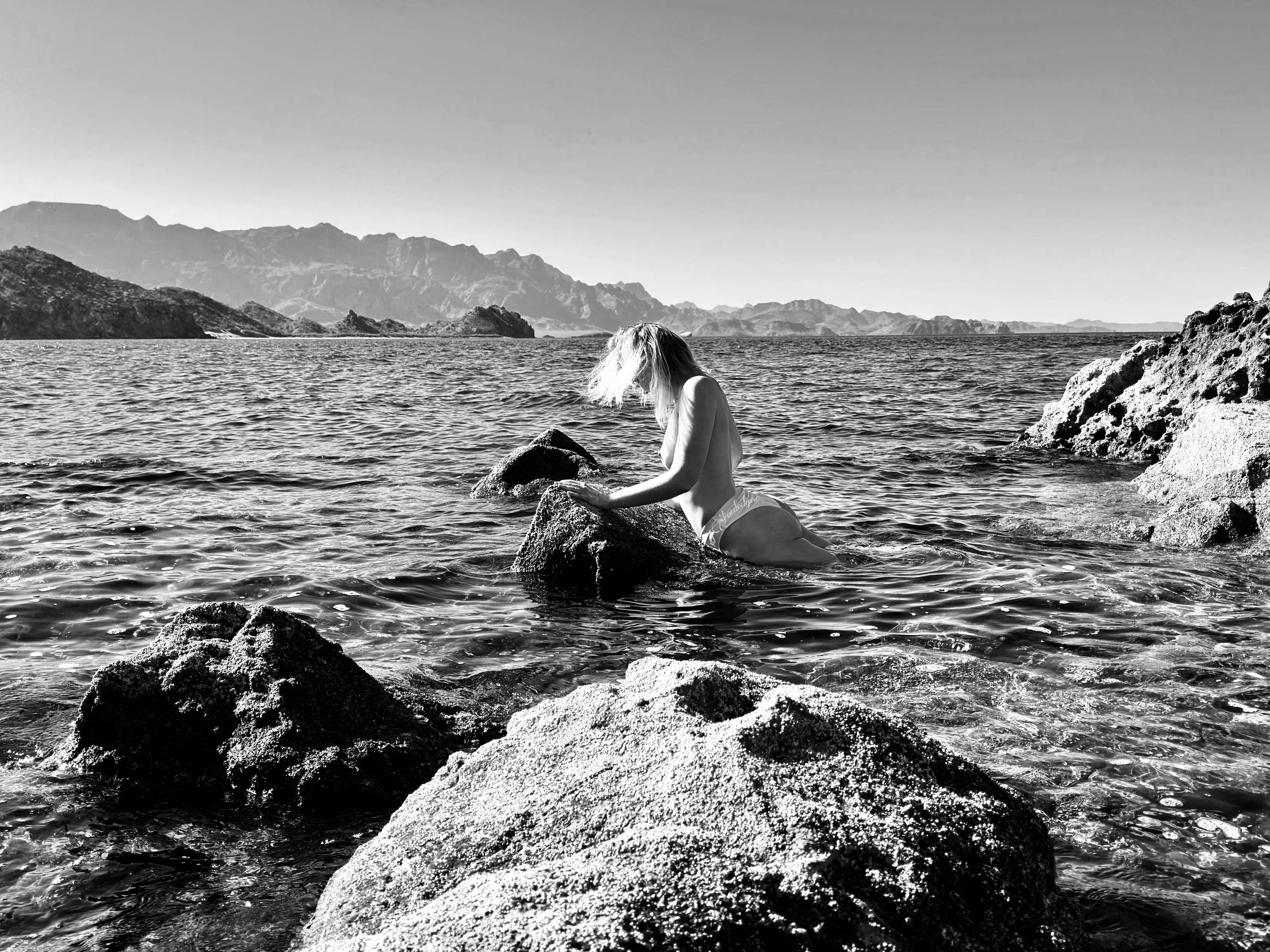 Noir posted by Aoedeclipse