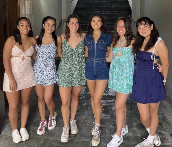 Rank these beauties by 18383829