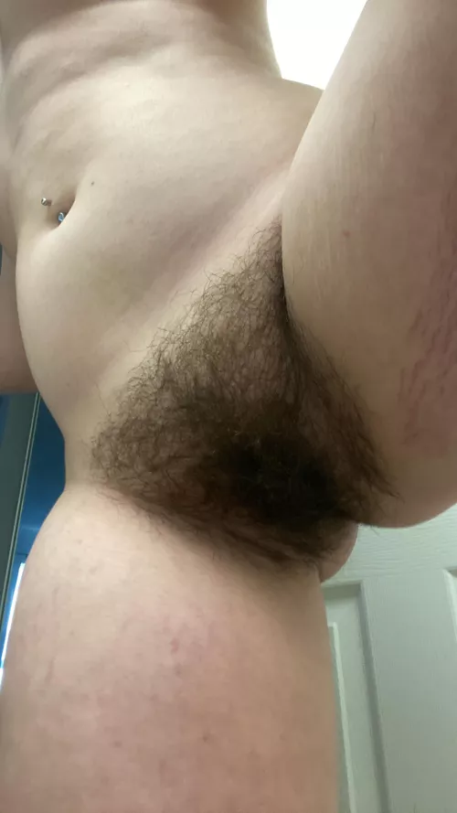 should i trim my bush or keep it full? by baby_sophia20