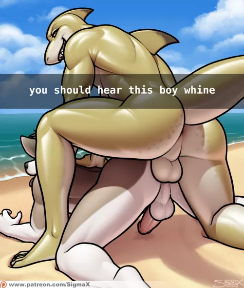 Snapchat shark attack (SigmaX) by Affectionate_belly32