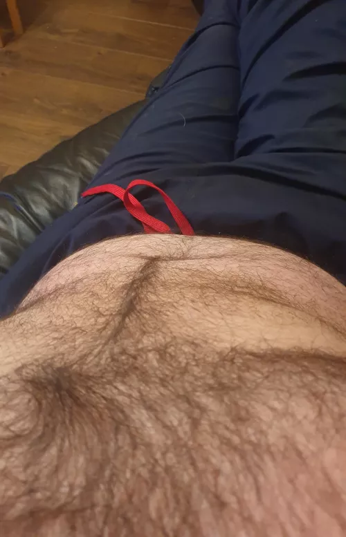 Sofa...cider ...and a hairy chest? by HairyDiplodocus