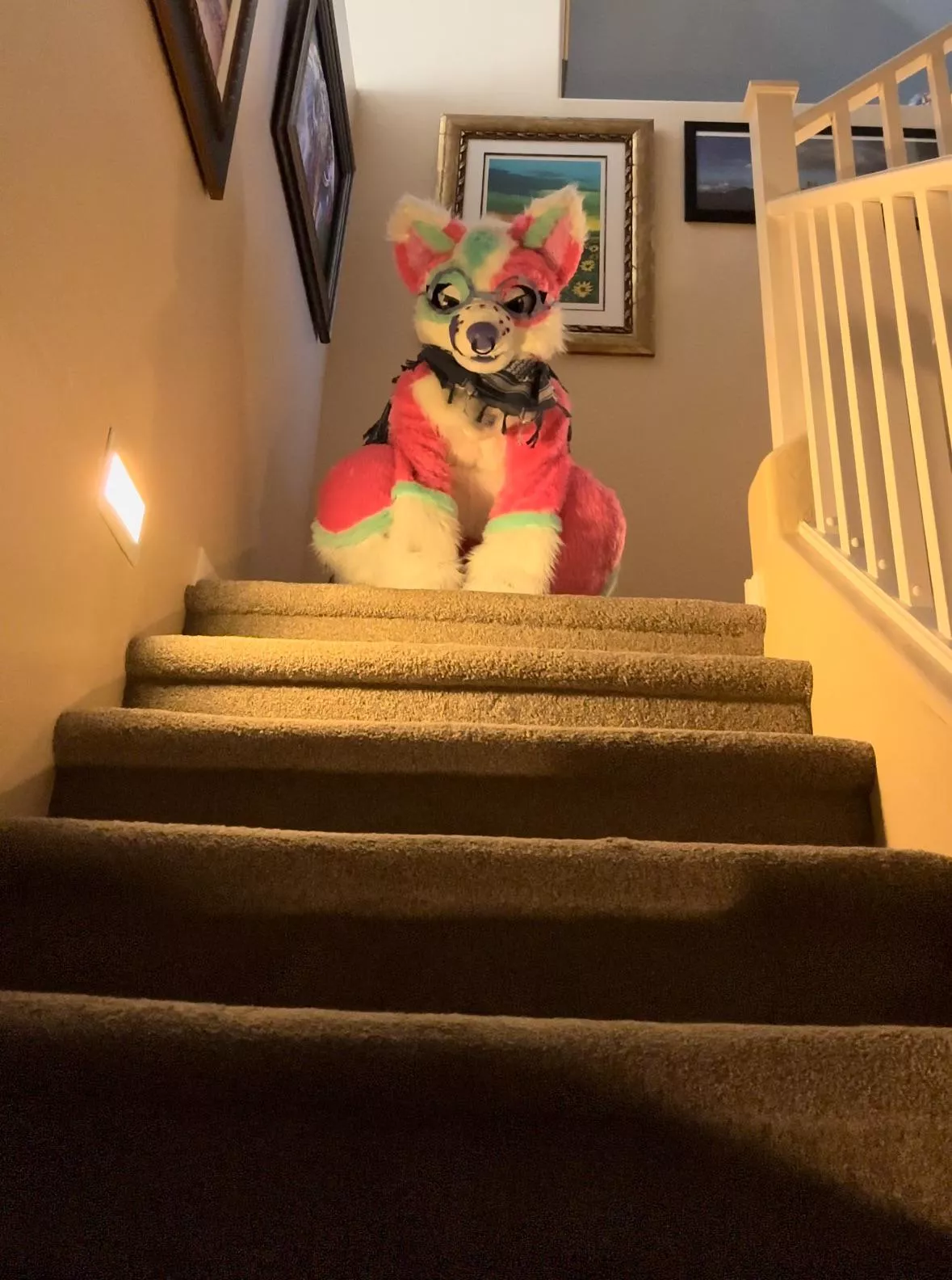 Stairway looks a little jammed today…there’s a gay dog at the top of the stairs. posted by Ancient_Summer_1833