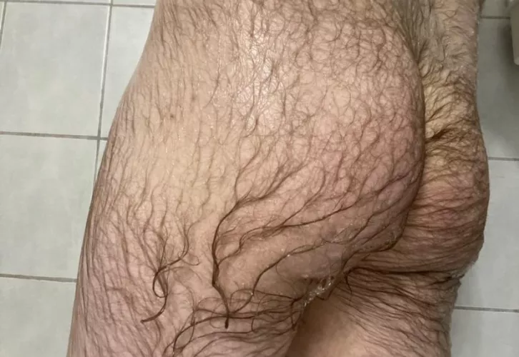 What are you thoughts? Honest opinions please. Is my ass too hairy and I should shave it? by 44guy444