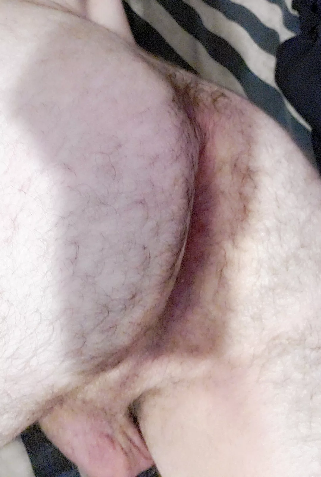 What do you guys think?  posted by Thomas4fun2000