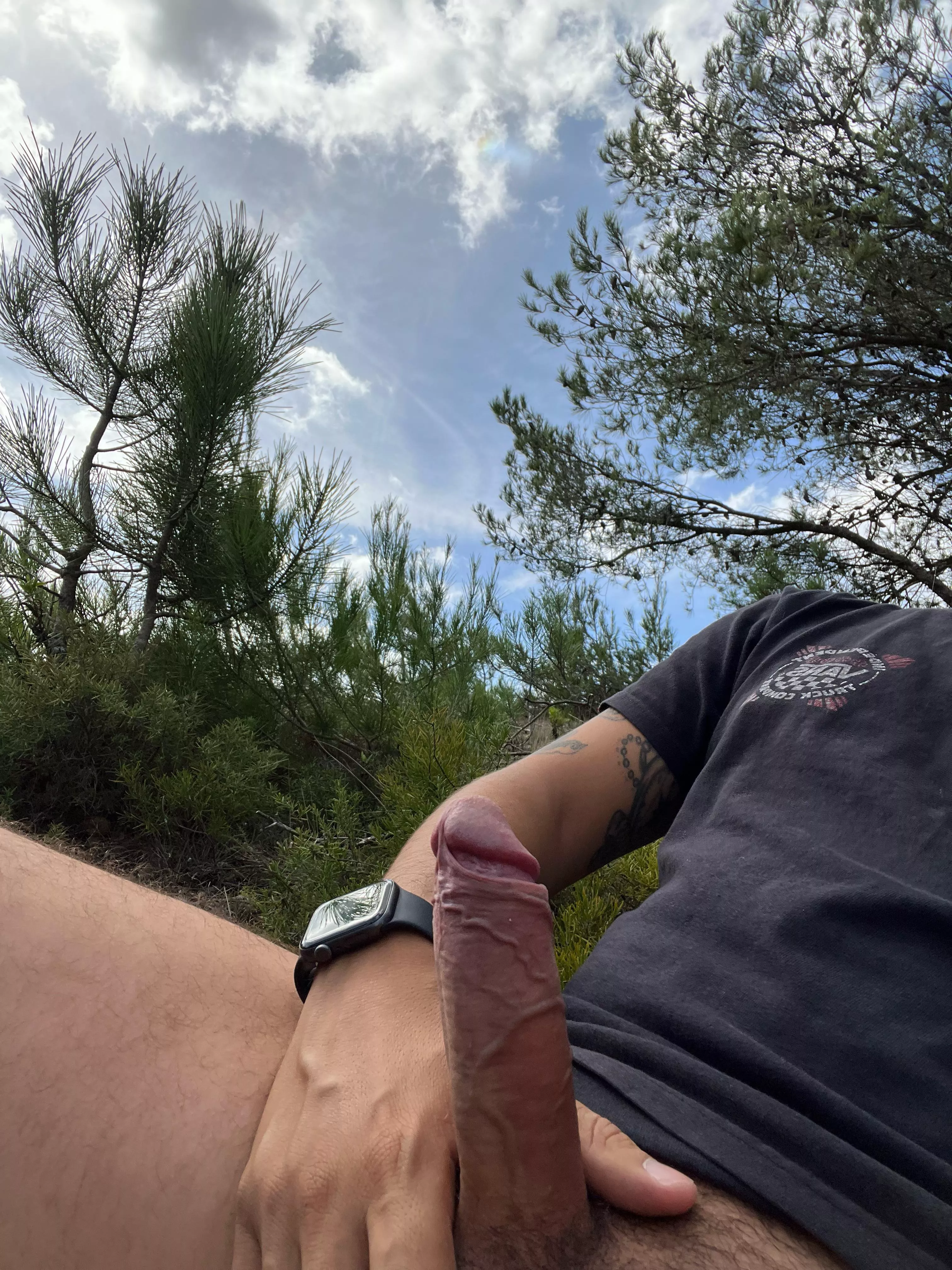 Woods  posted by Miguelcostauuu