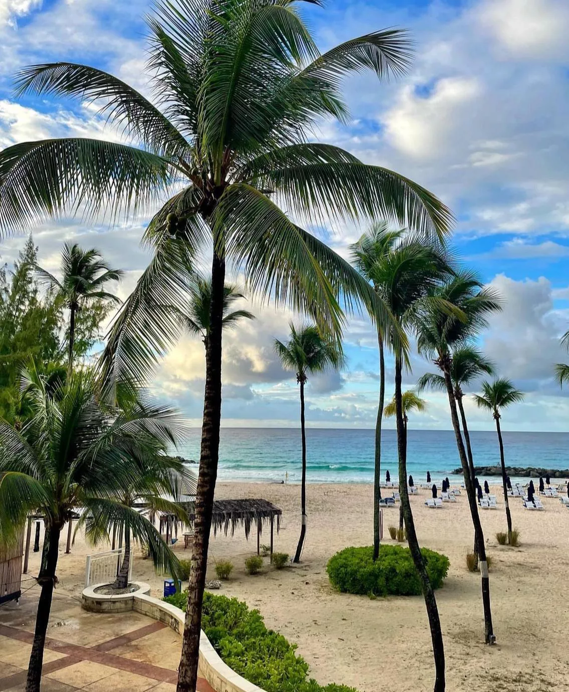 Barbados 😍 posted by UnfairSeesaw5643