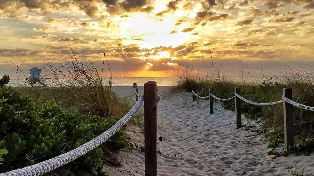 Beaches to Visit in Greater Fort Lauderdale posted by Layanahmed