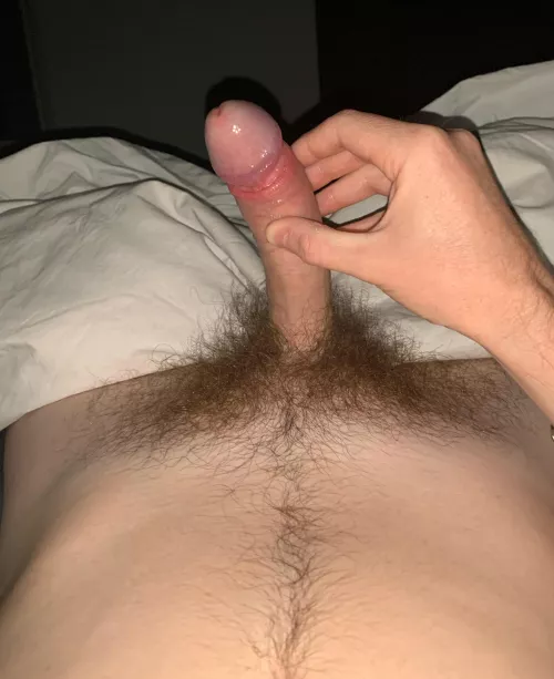 Does my full bush look good by zjustin18