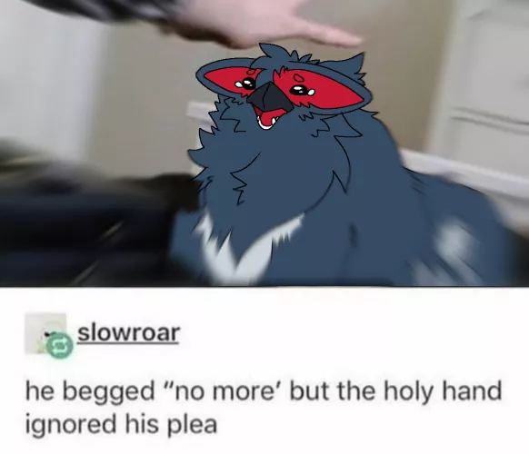 Don't (pet) the cuga.. (By @RuiOnRollers) by Used_Dimension1555