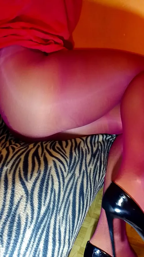 Haw do l look? by SympathyBig4207