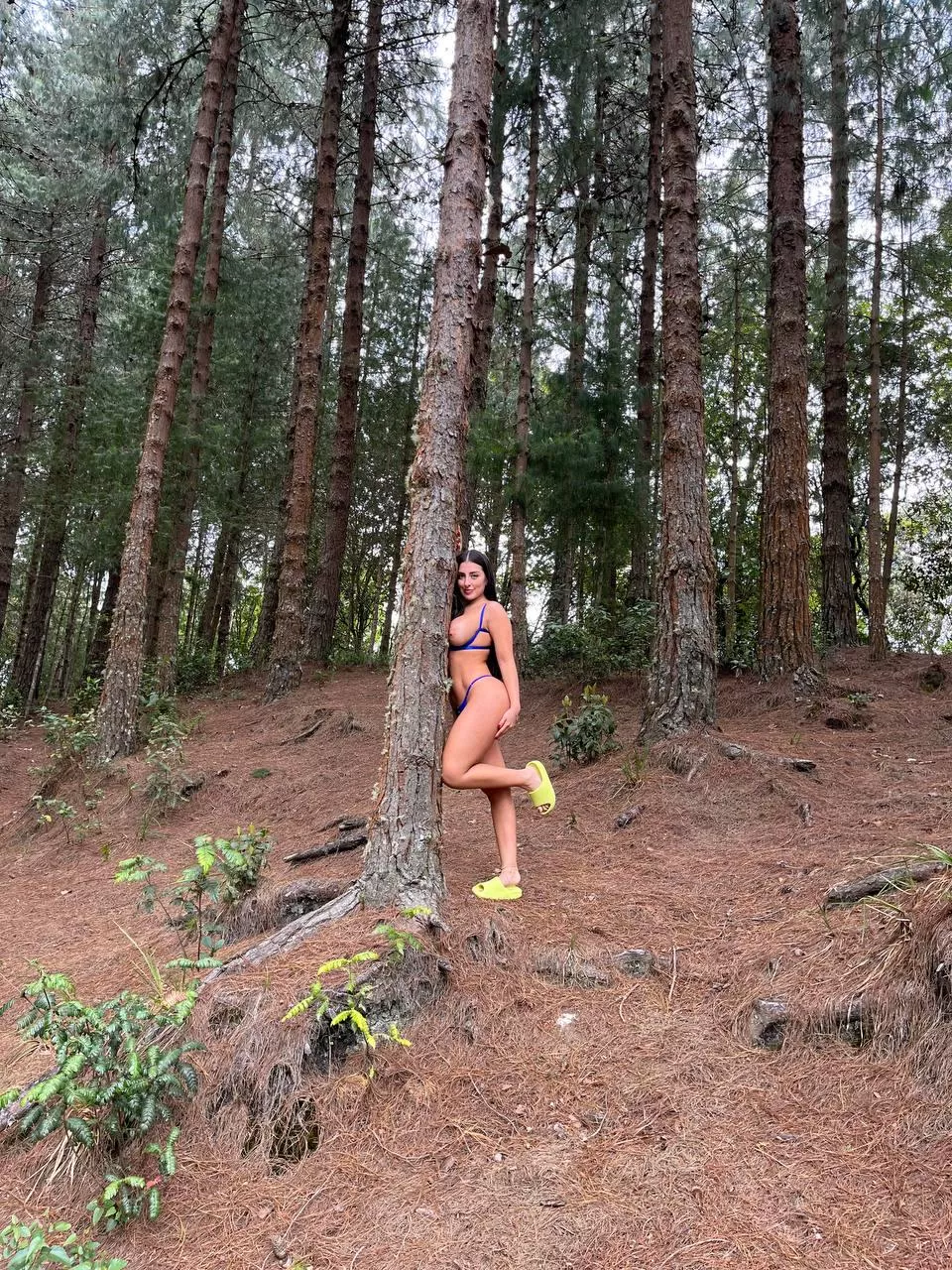 Lucky tree posted by BroadAppearance9141