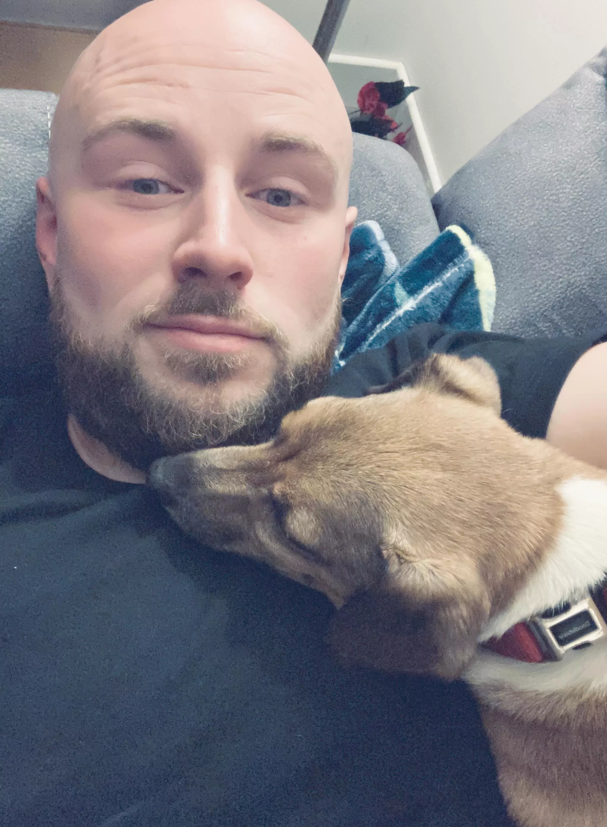 Man’s best friend!  posted by moremedspleasenurse