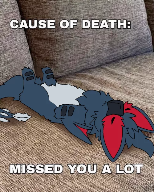 Missed you a lot.. (By @RuiOnRollers) by Used_Dimension1555