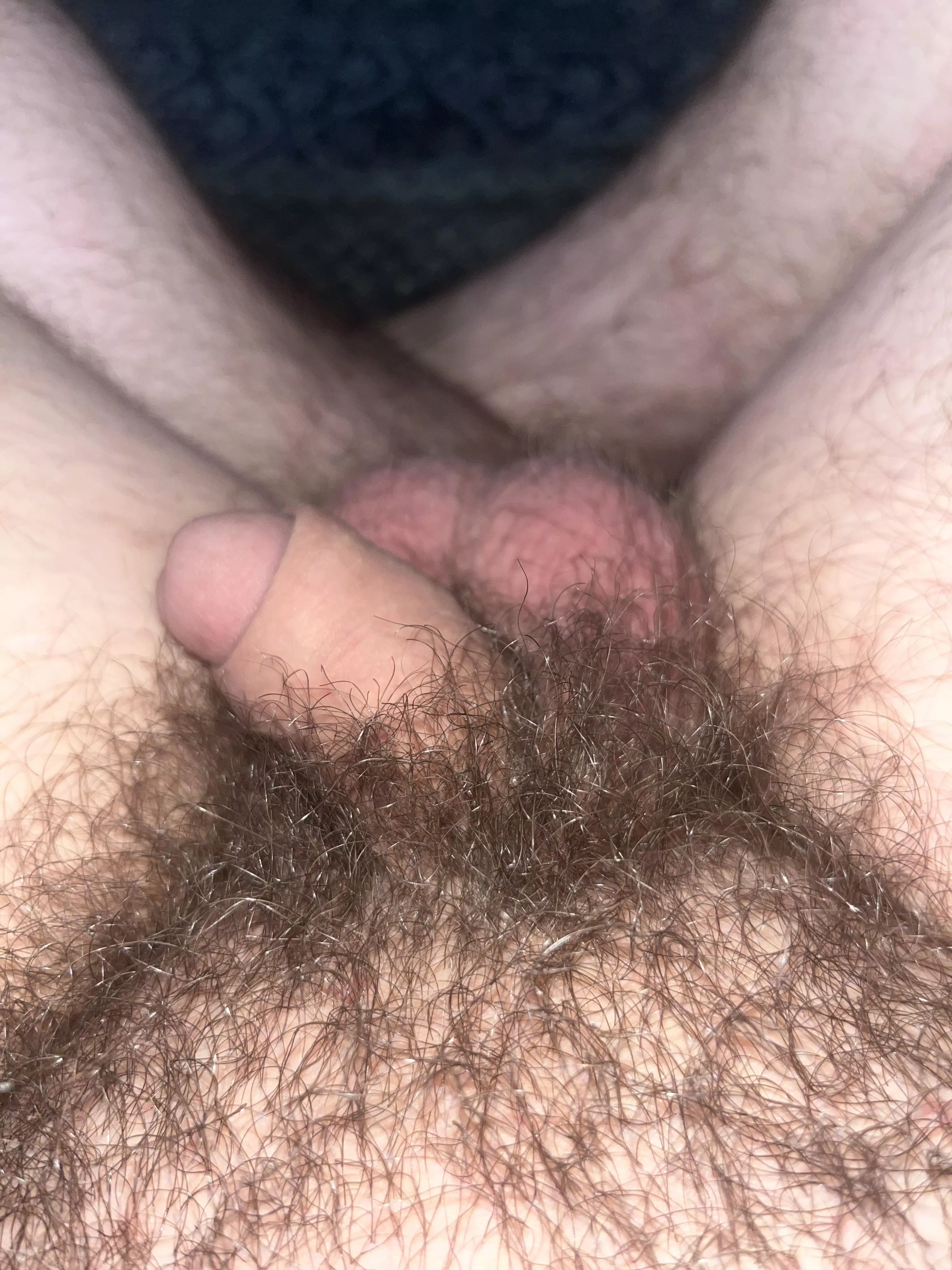 My hair is almost as long as him. Soft as a ☁️  posted by Seriousboytoy