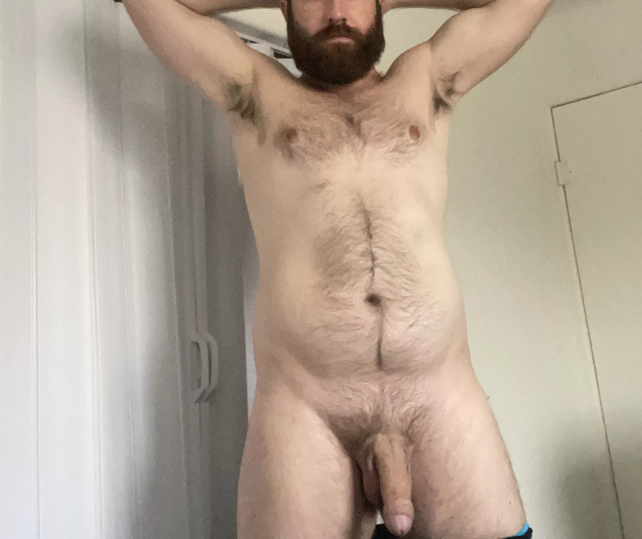 Pits or cock?  posted by Ill-Type4532