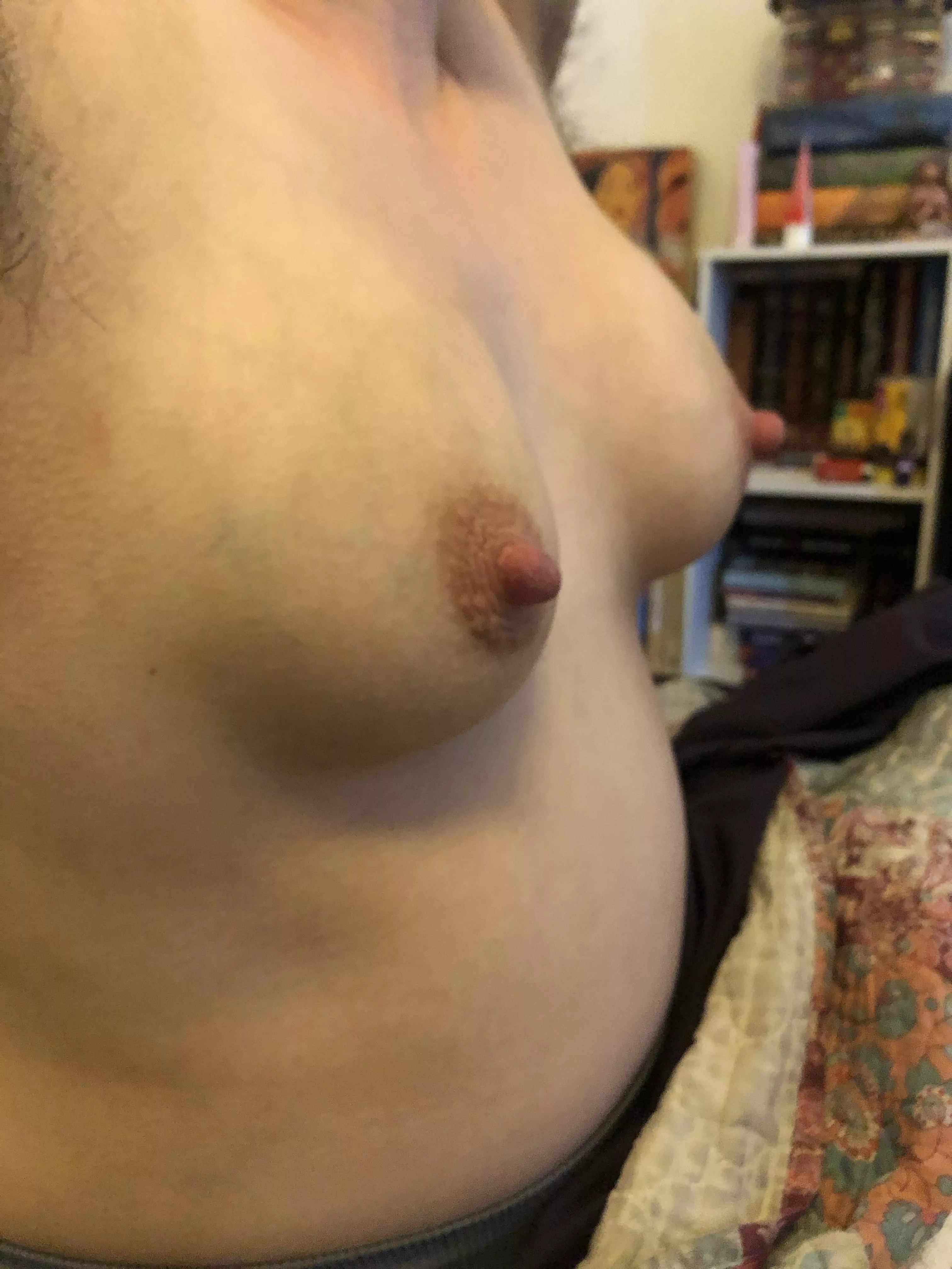 Pregnant nipples posted by p2u4n5x
