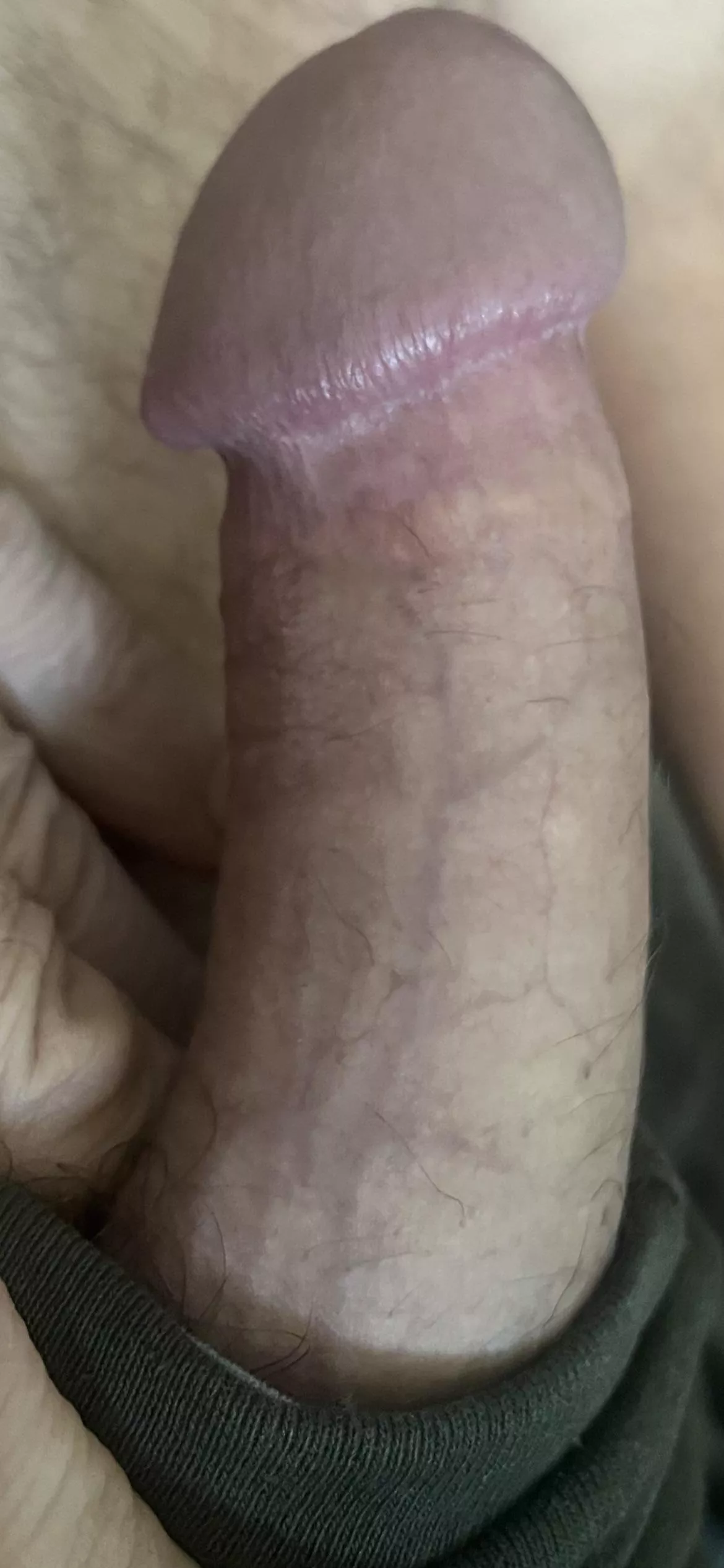 Small cock but what you think  posted by Conscious-Aioli-7644