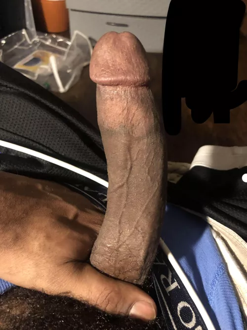 Think I can fill that gap? by Woodfield_Meat_2889