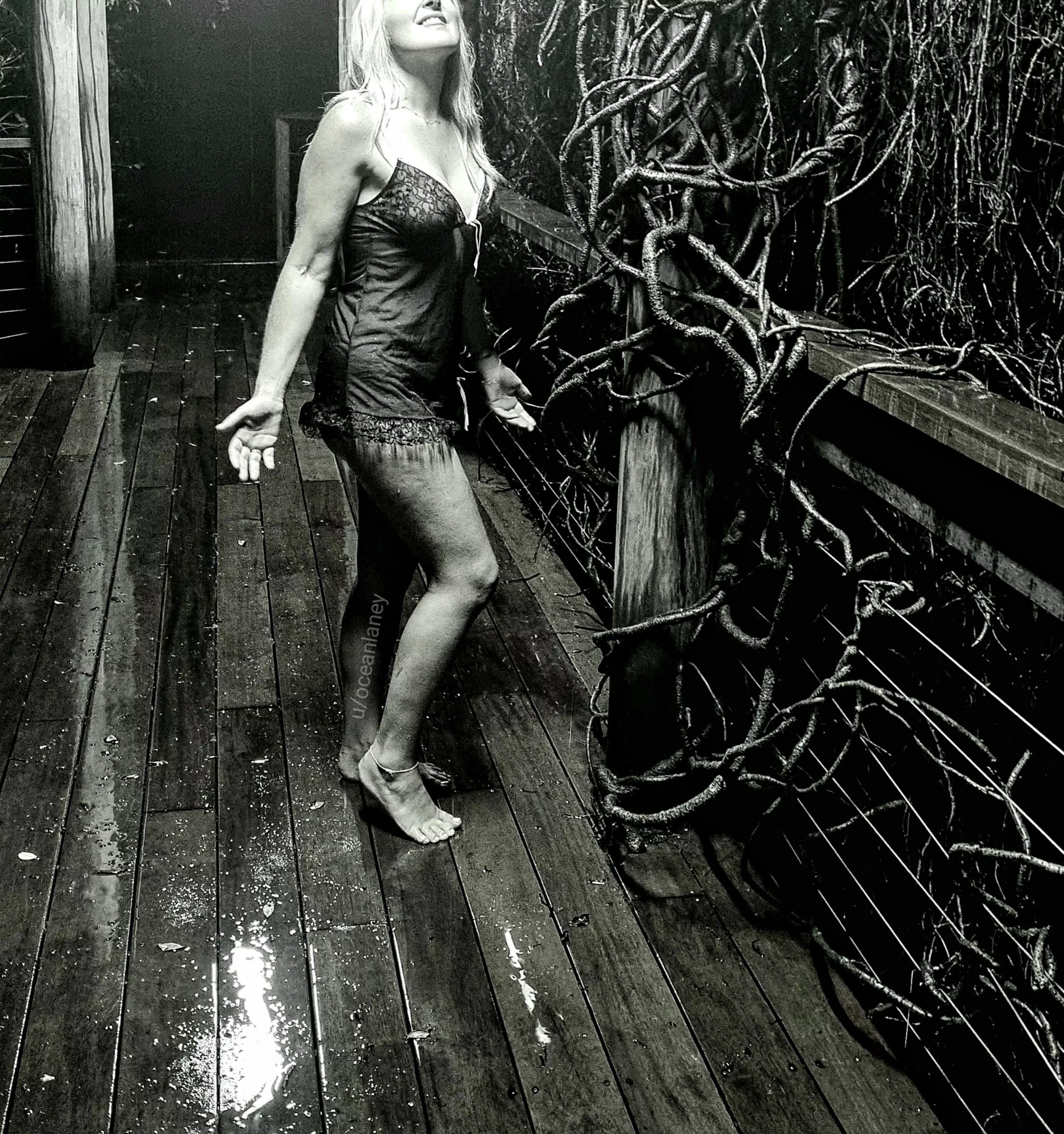 Vines and rain  posted by oceanlaney