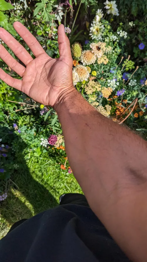 What do you think??  by Hour_Lavishness5281