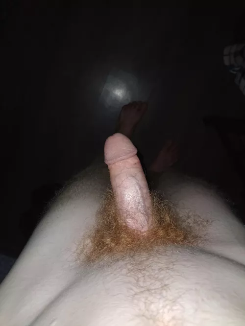 What do you think about my bush  by Ultraviolence_pgk