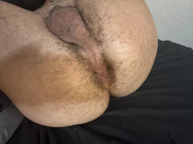 Who’s hungry?  by Emergency_Gene_9981