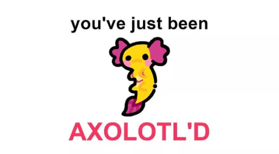 You've just been axolotl'd! by Bubbleswaterbottle