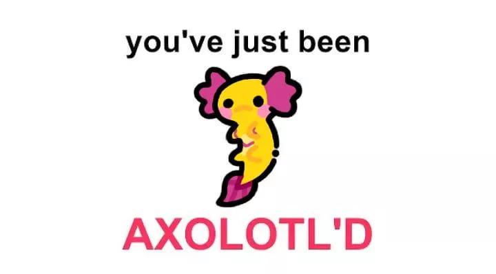 You've just been axolotl'd! posted by Bubbleswaterbottle