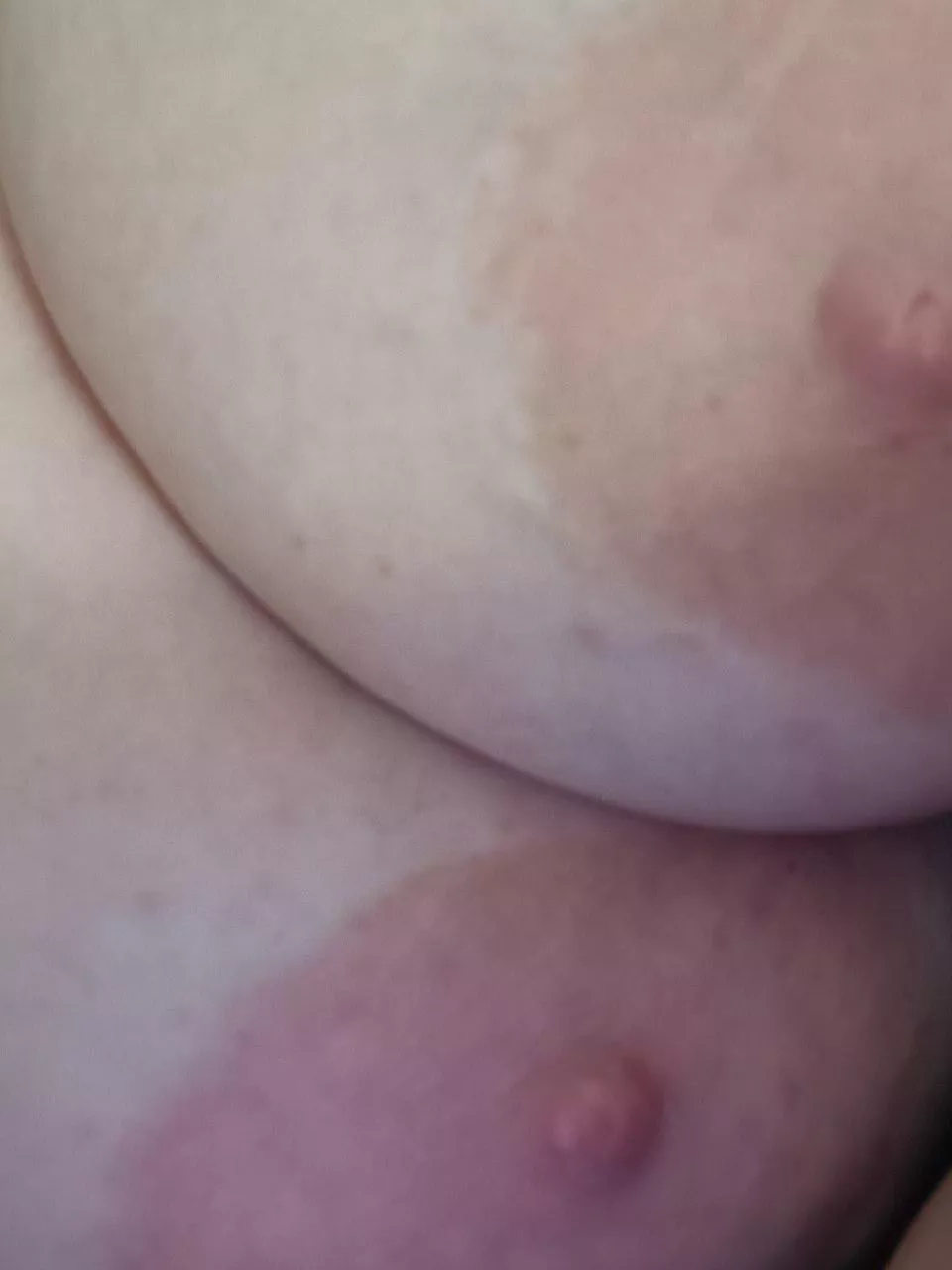 Anyone still awake? posted by Unidentified_Craft