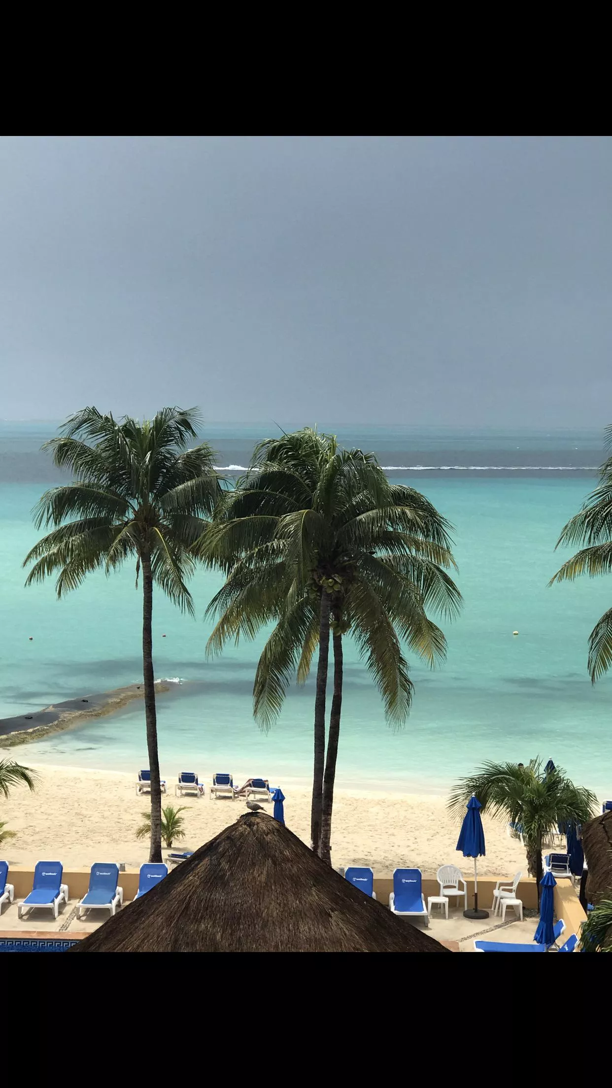 Isla Mujeres, Mexico posted by B_Bunnyyyy