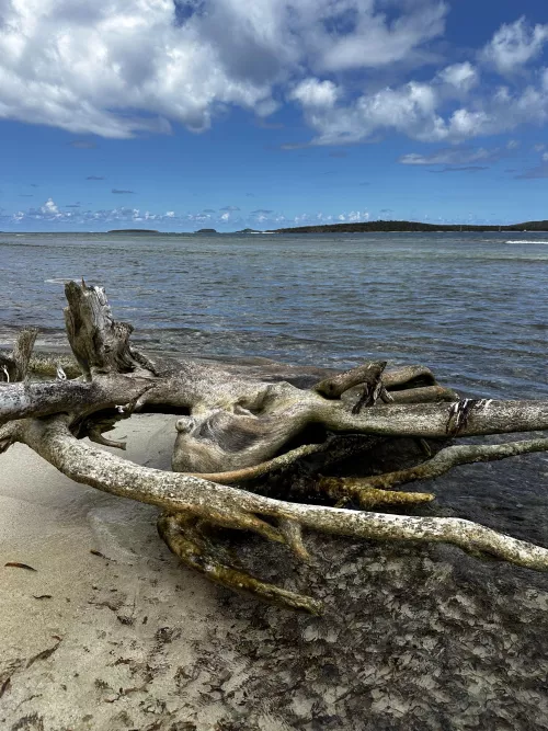 Playa Larga on Culebra Puerto Rico.  by astrotim67