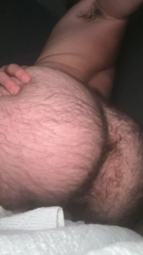 21 m us. horny af, fit, hairy bubblebutt looking for a daddy or older bro. verbal+ sc colson2022996 by Cold_Employment9453