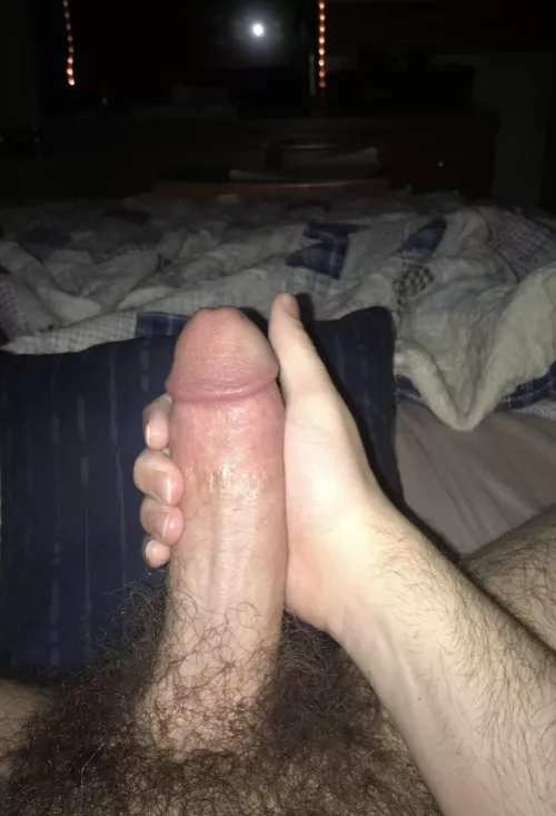22 morning wood hmu for snap by TheseProfessional156