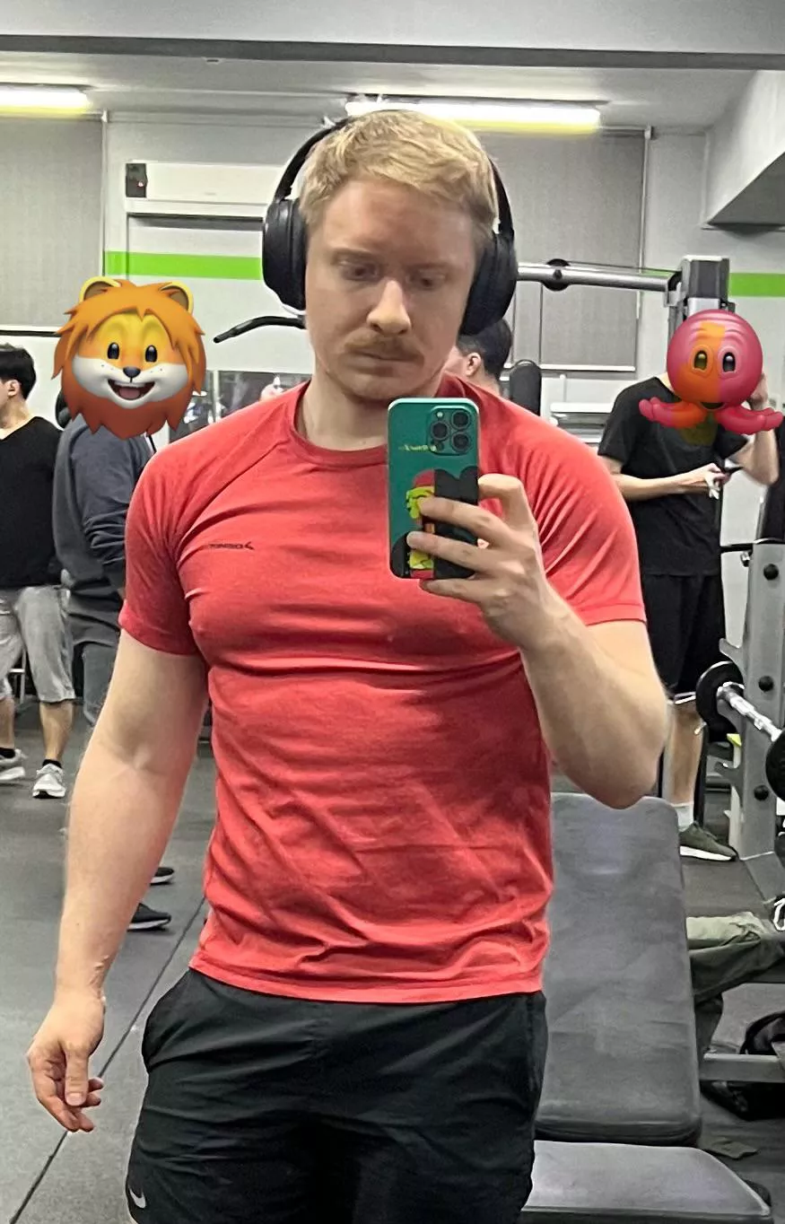 Back to the gym posted by Fit_Maintenance1737