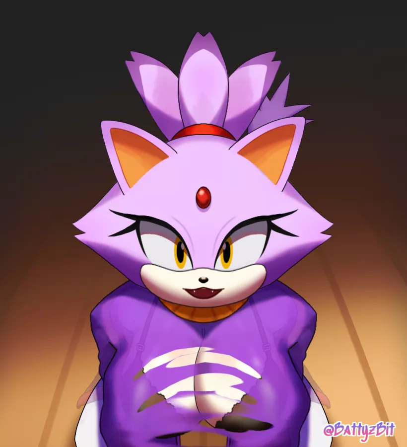 Blaze the cat Animation (Link below, artist BattyzBit) posted by BattyzBit