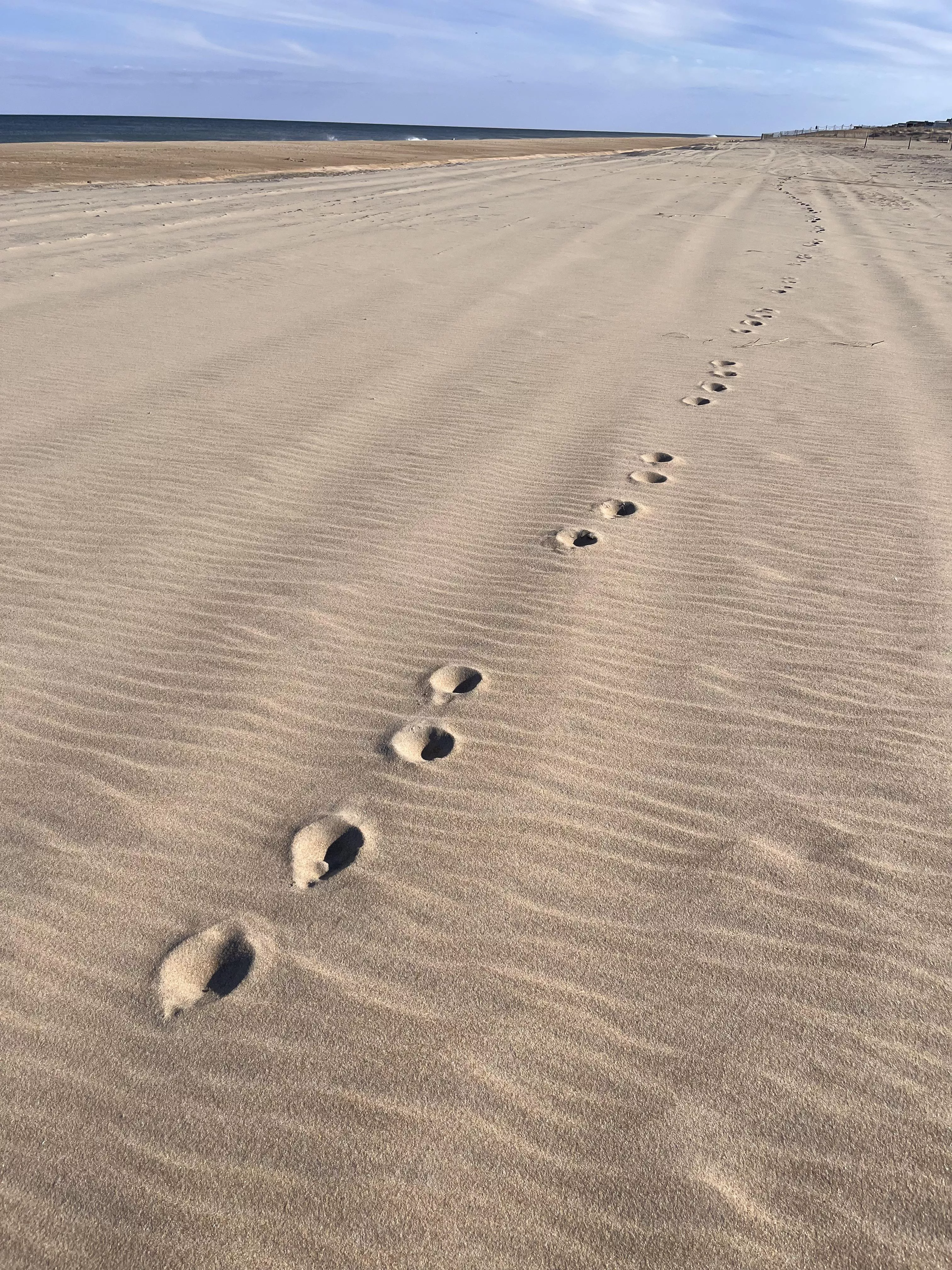 Can anyone help ID these tracks? posted by lemonlimelinds