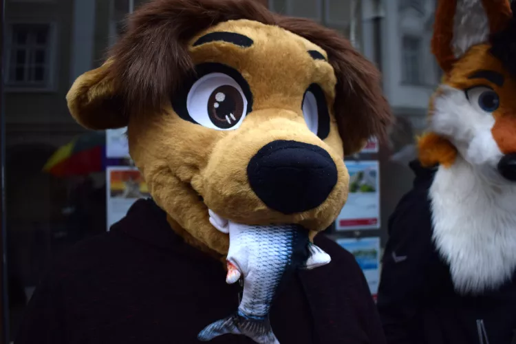 Fursuit Saturday  by fluffotts