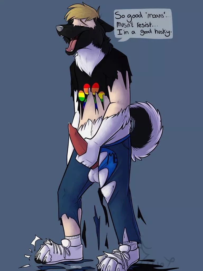 Good Husky (Dog tf by BinturongBoy) posted by Fit_Operation9955